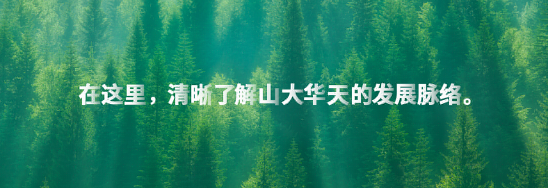 華天介紹